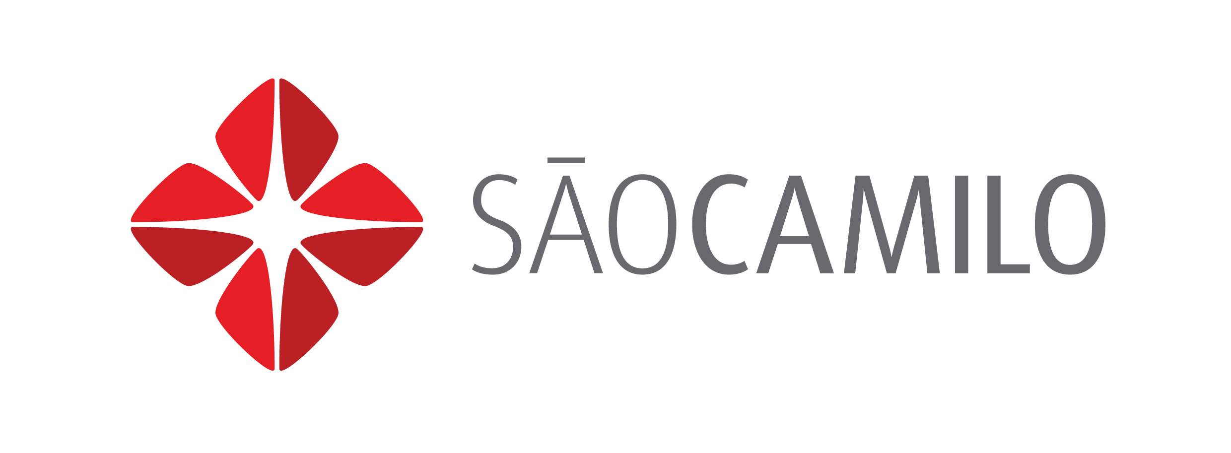 logo-sao-camilo-hospital